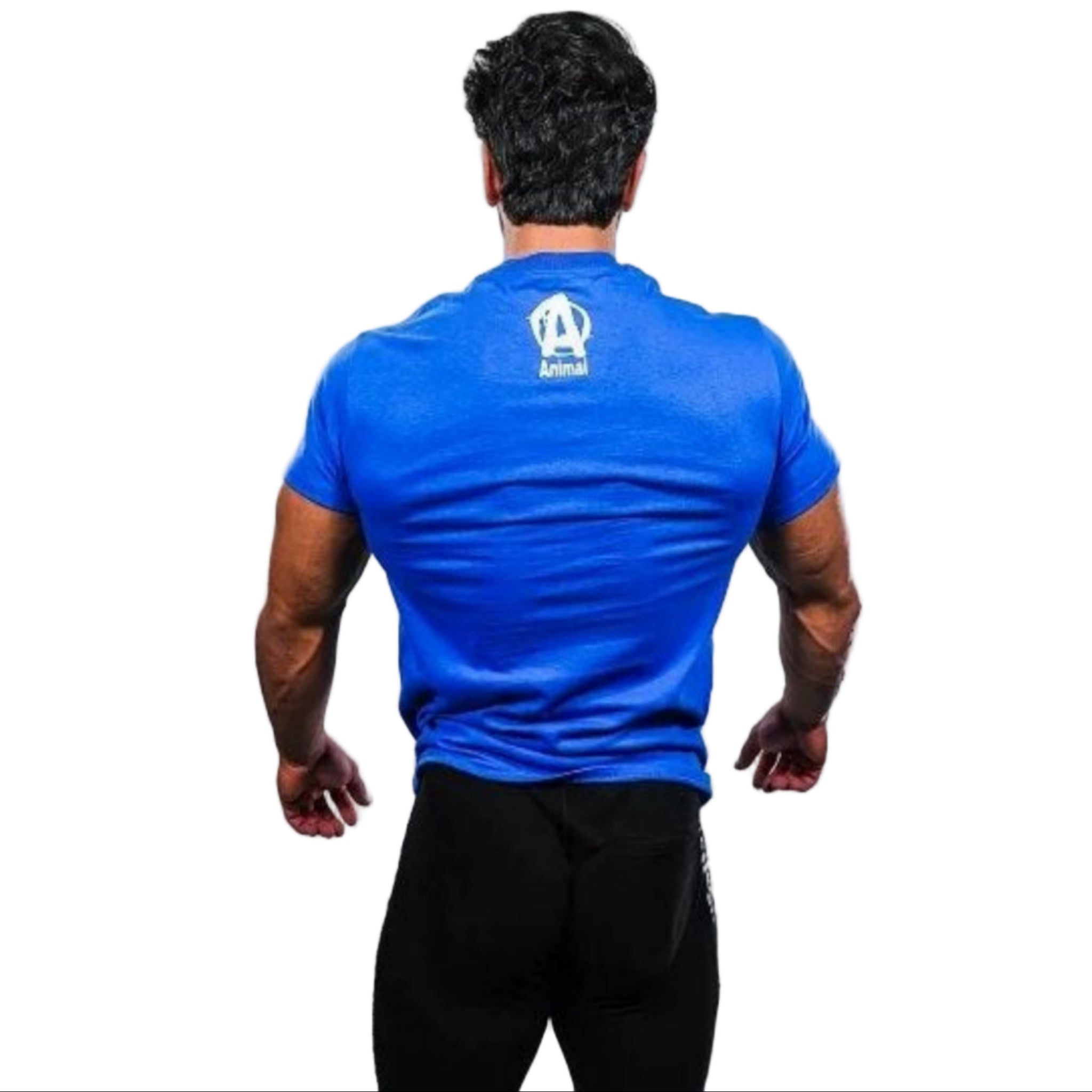 Universal Nutrition Animal Fury T-Shirt Blau