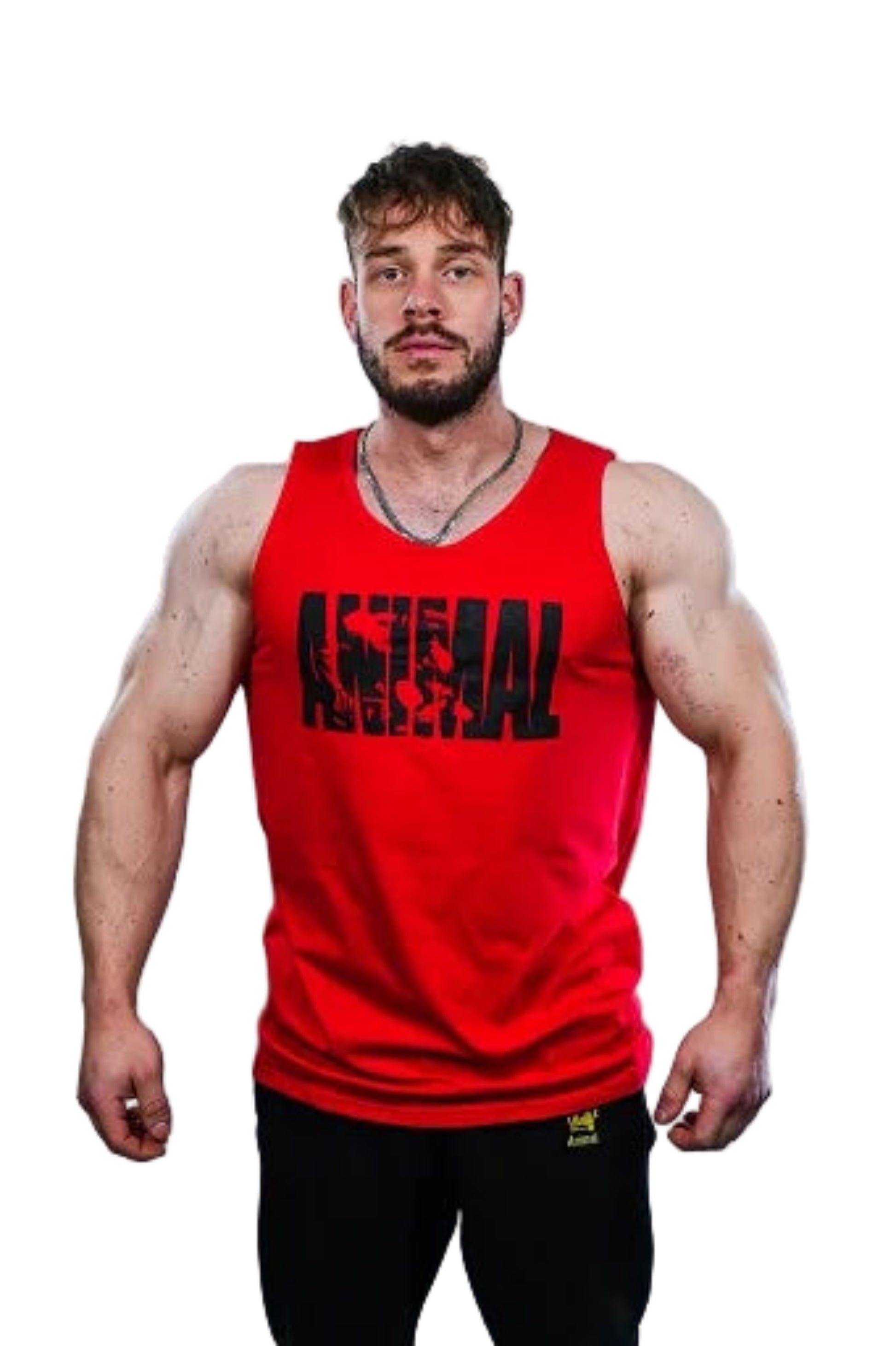Universal Nutrition Animal Iconic Tank Top