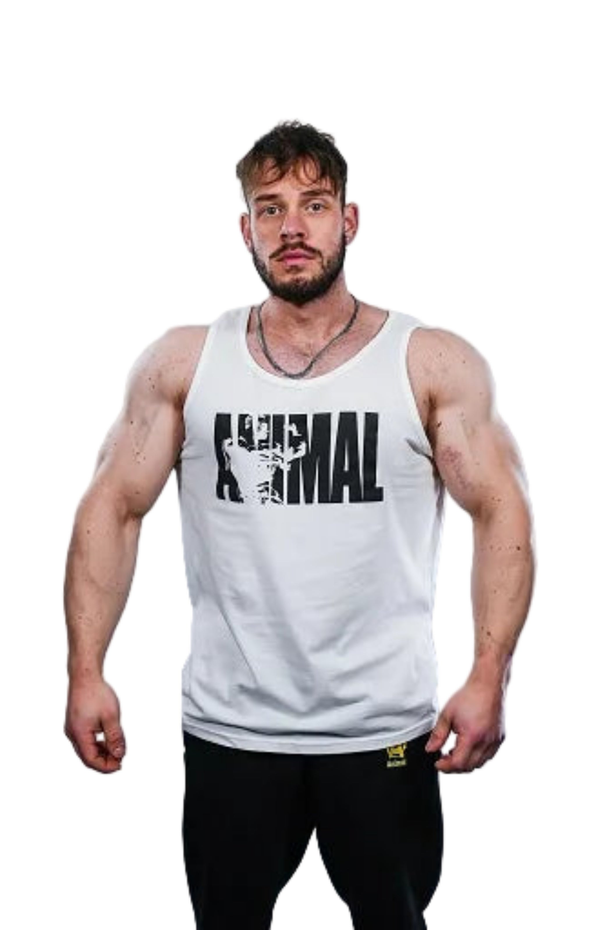 Universal Nutrition Animal Iconic Tank Top