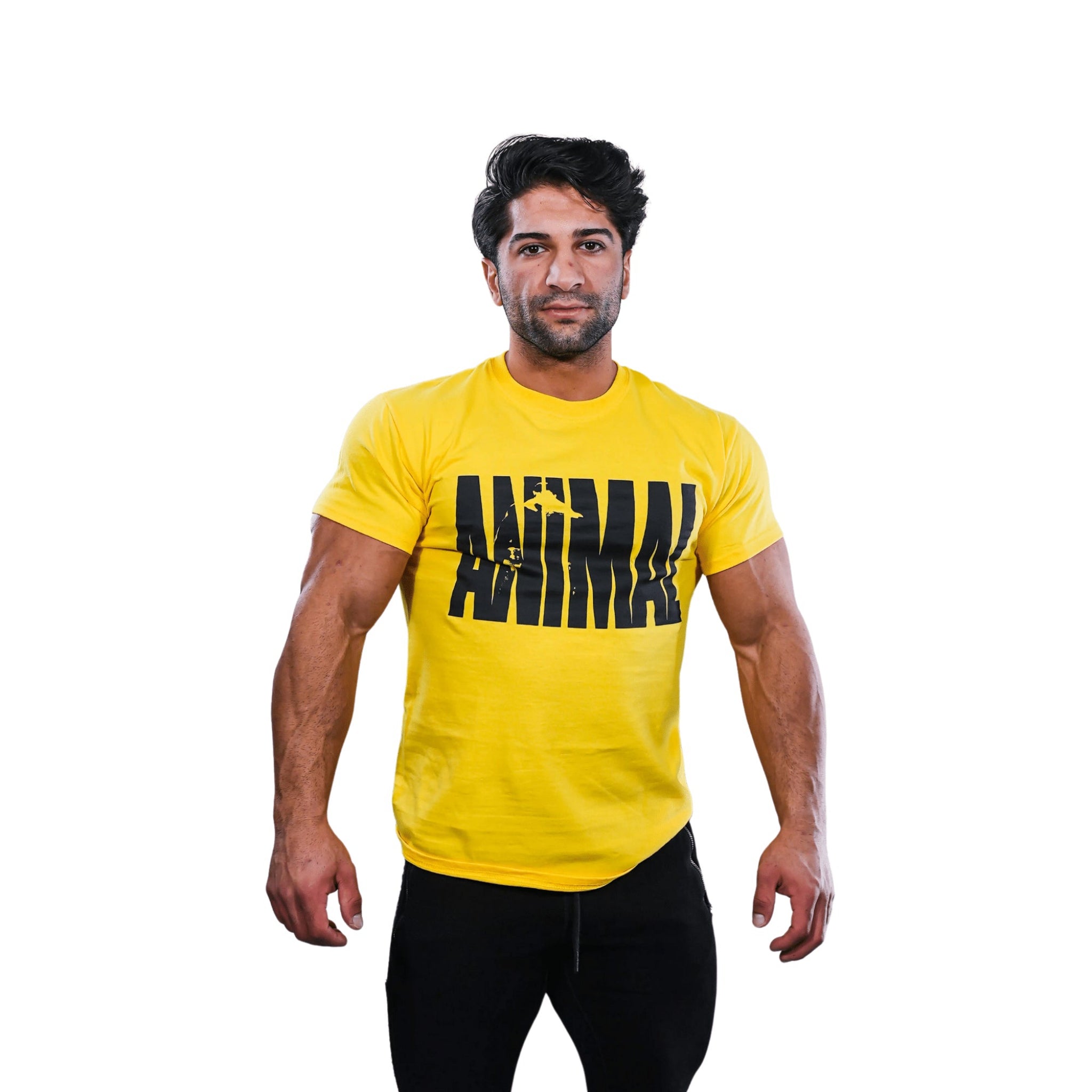 Universal Nutrition Animal T-Shirt "Iconic"