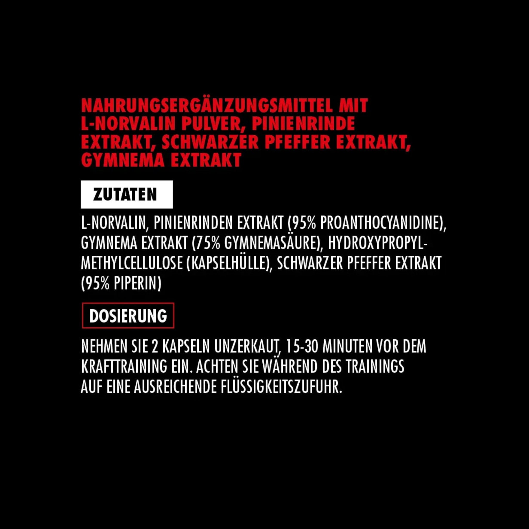 Big Zone N.O. Synergy (90 Kapseln)