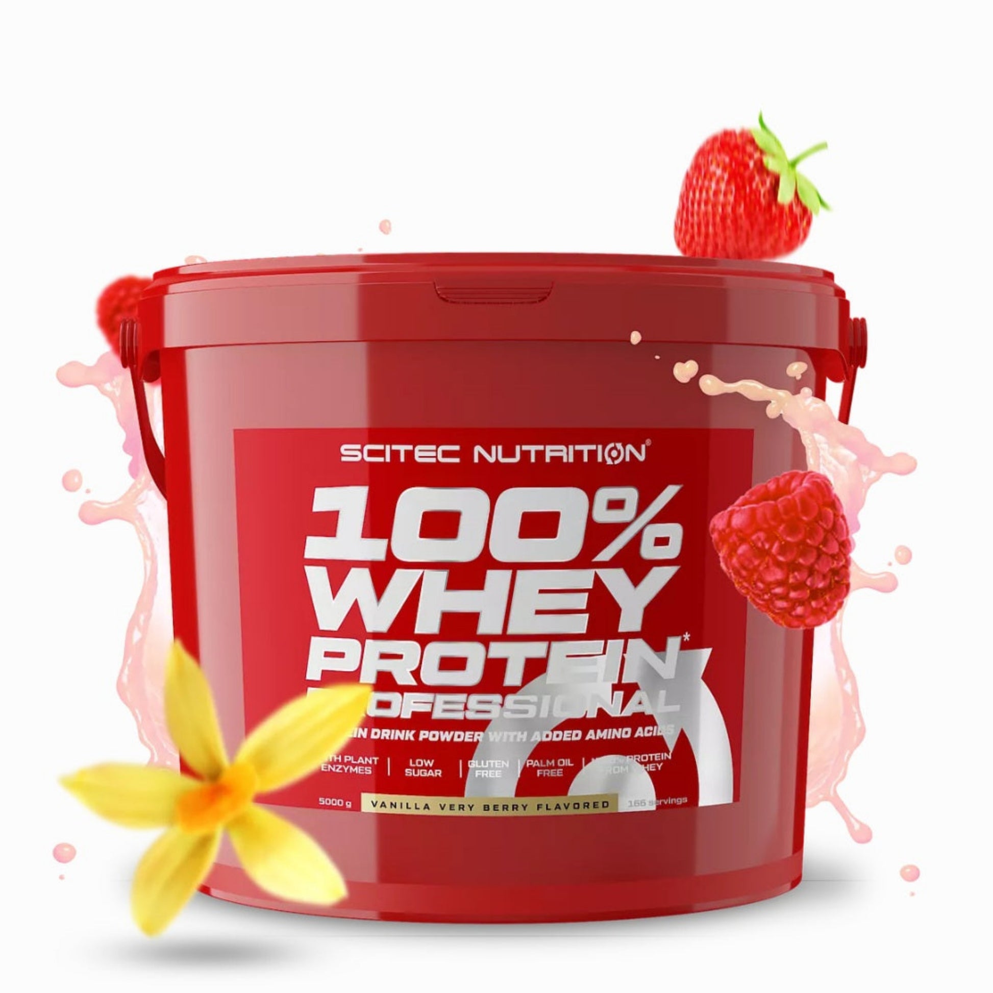 Scitec Nutrition 100% WHEY PROTEIN Professional (5000g)