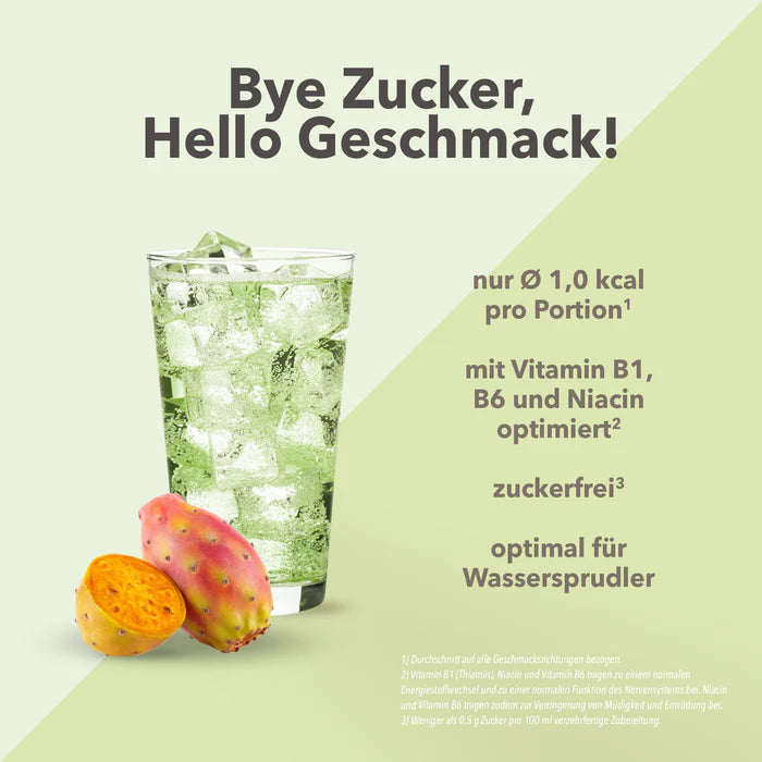 Best Body Nutrition Vital Drink Zerop 1:80 1L Kaktusfeige