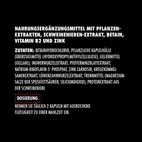 Big Zone Gut+ 60 Kapseln