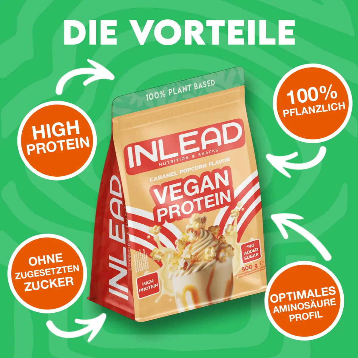 INLEAD Vegan Protein 500g Cinnamon Cereal