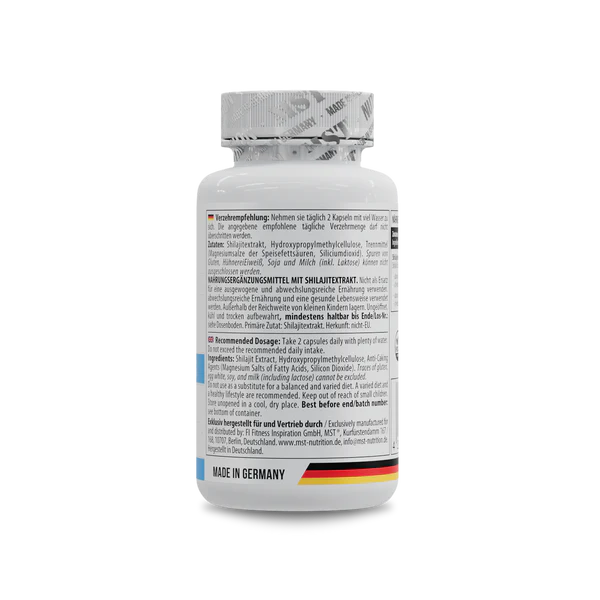 MST Shilajit 60 Kapseln